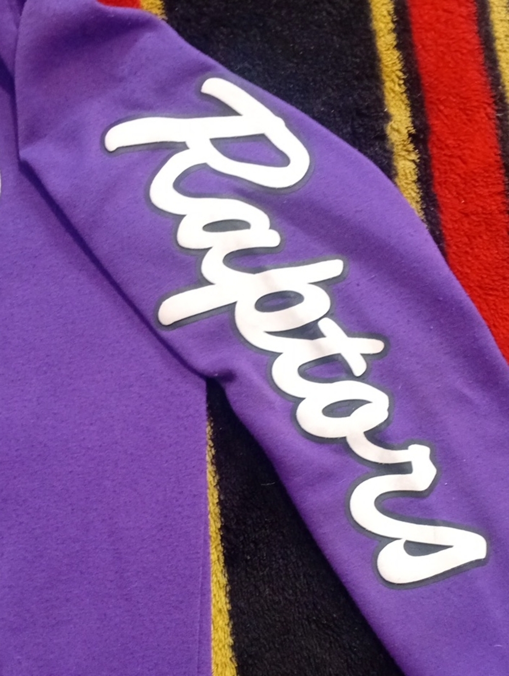 Toronto Raptors Hoodie - Picture 8 of 9